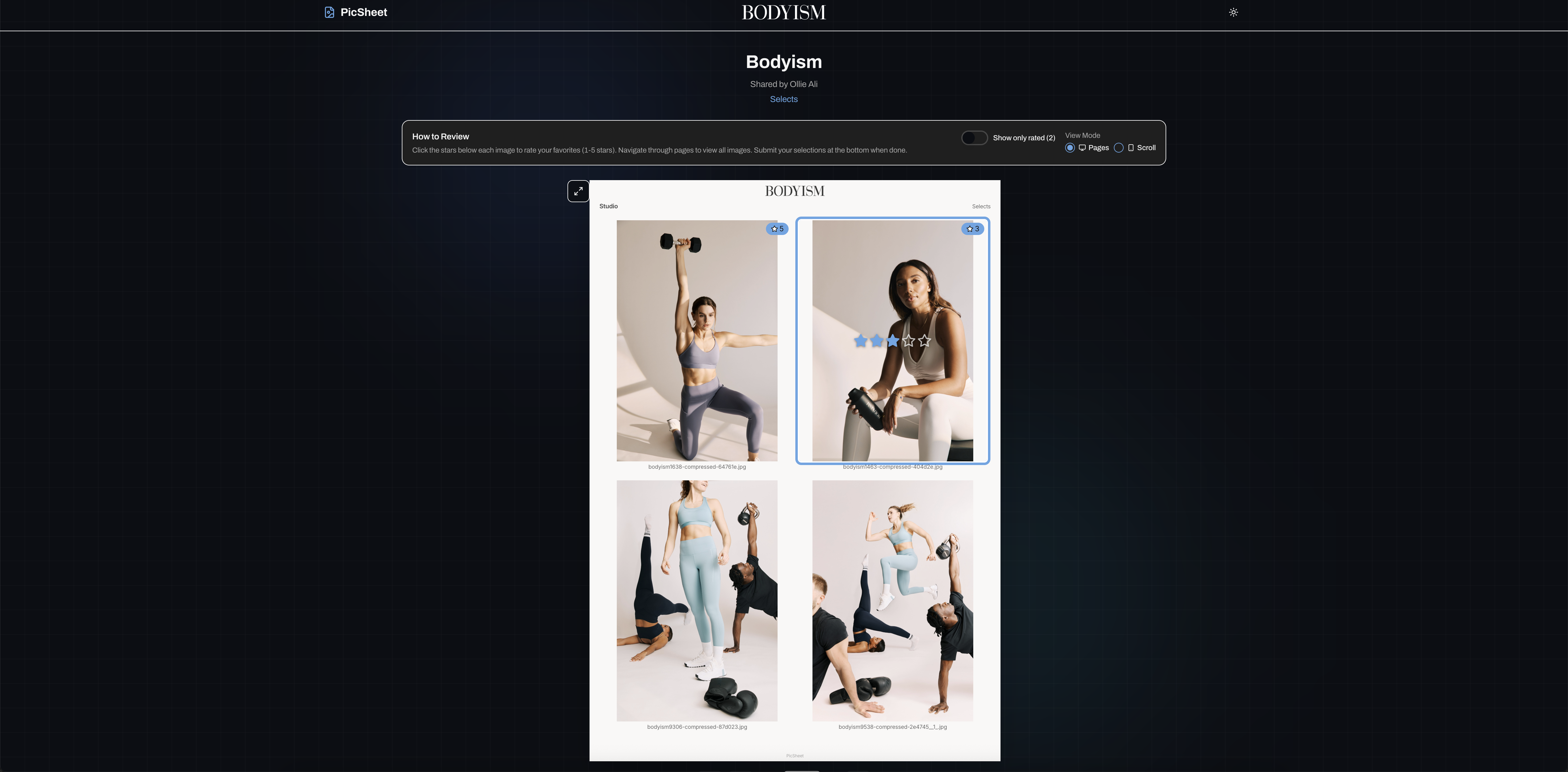 Client review interface showing a contact sheet with image rating and selection capabilities