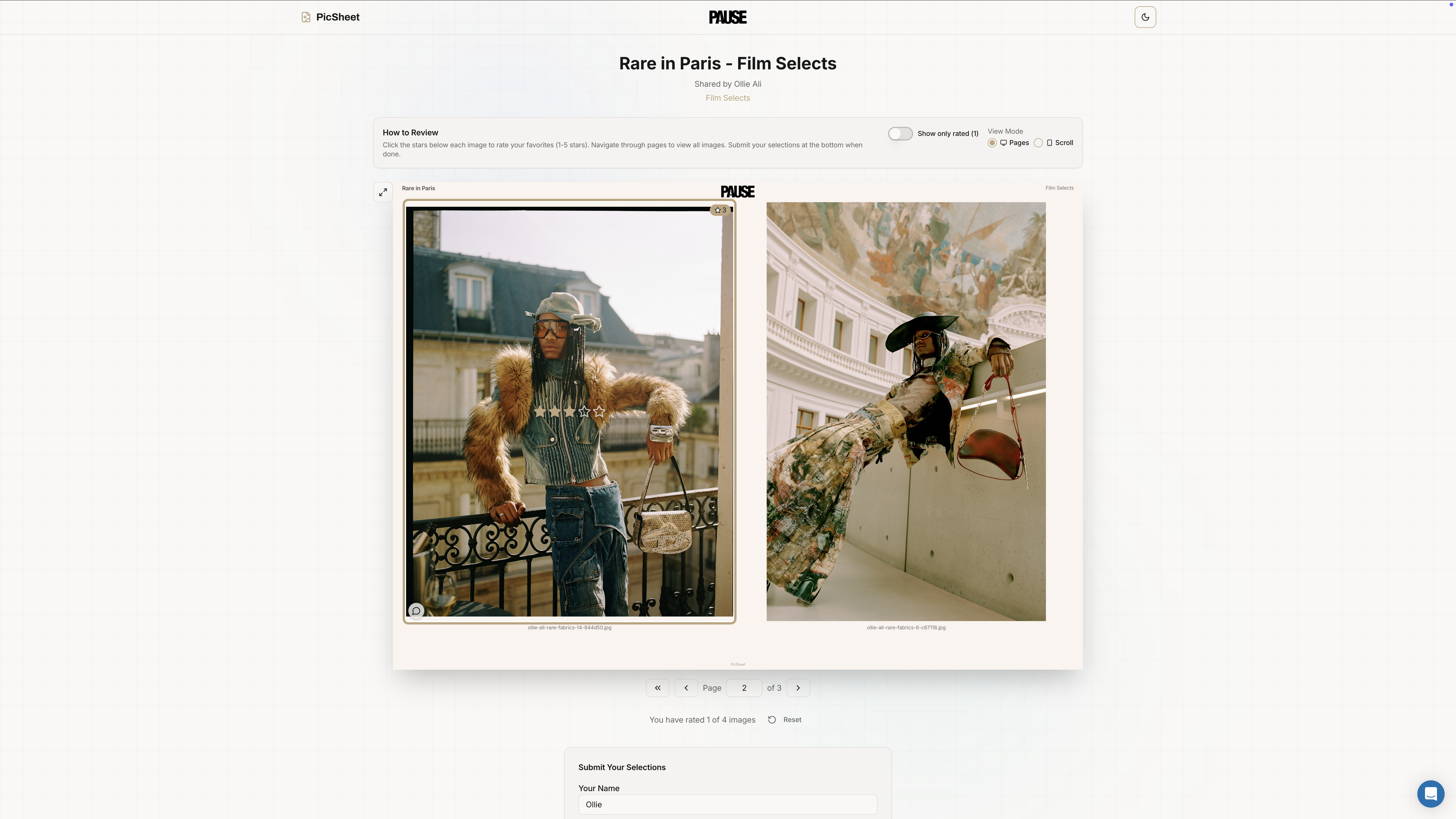 Client review page with image grid